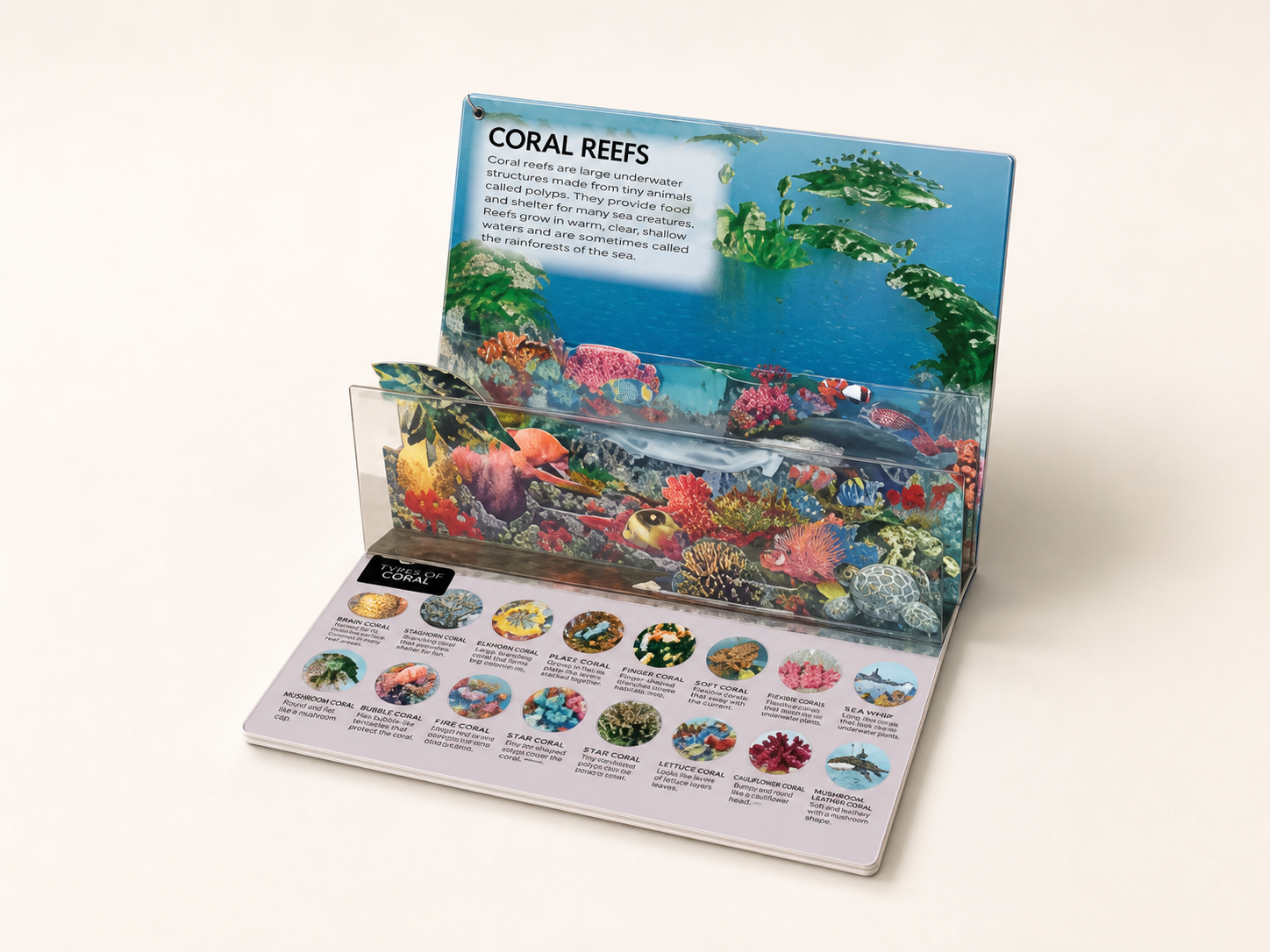 Educational publishing set with book and learning components