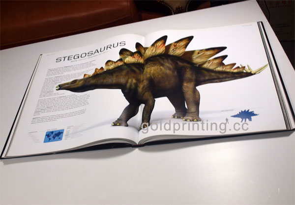 Pop-up Books