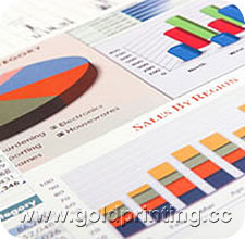 Financial Statements Rapid Printing