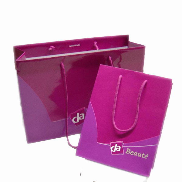 Custom Printed Shopping Paper Bags Factory