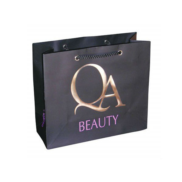 Custom Printed Shopping Paper Bags Factory