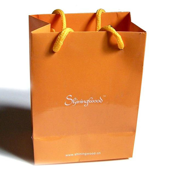 Custom Printed Shopping Paper Bags Factory