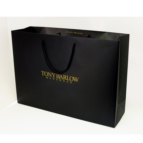 Custom Printed Shopping Paper Bags Factory