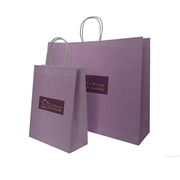 Custom Printed Shopping Paper Bags Factory