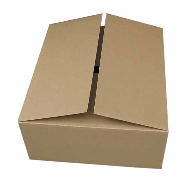 Strong Courrugated Paper Delivery Box