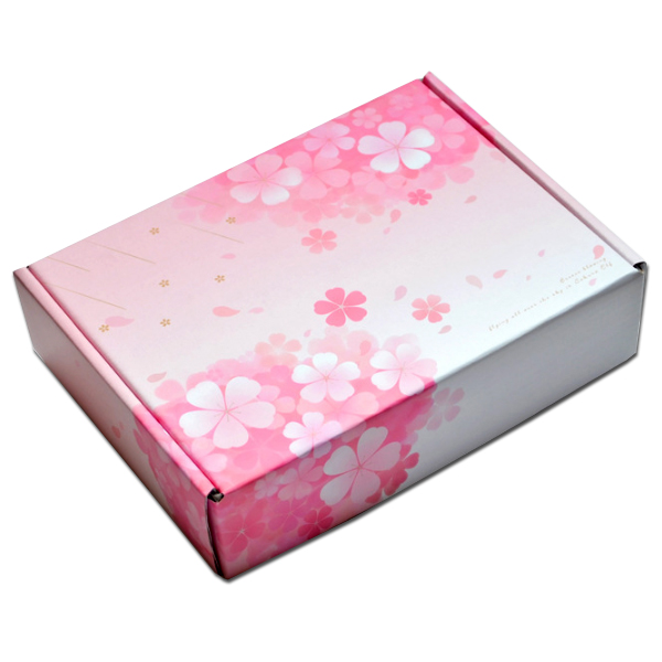 Custom Full Color Cardboard Carton Shipping Mailing Corrugated Box