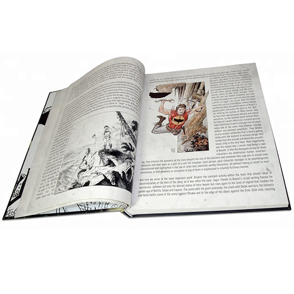 China Supplied Hardcover Books Printing Comic Book